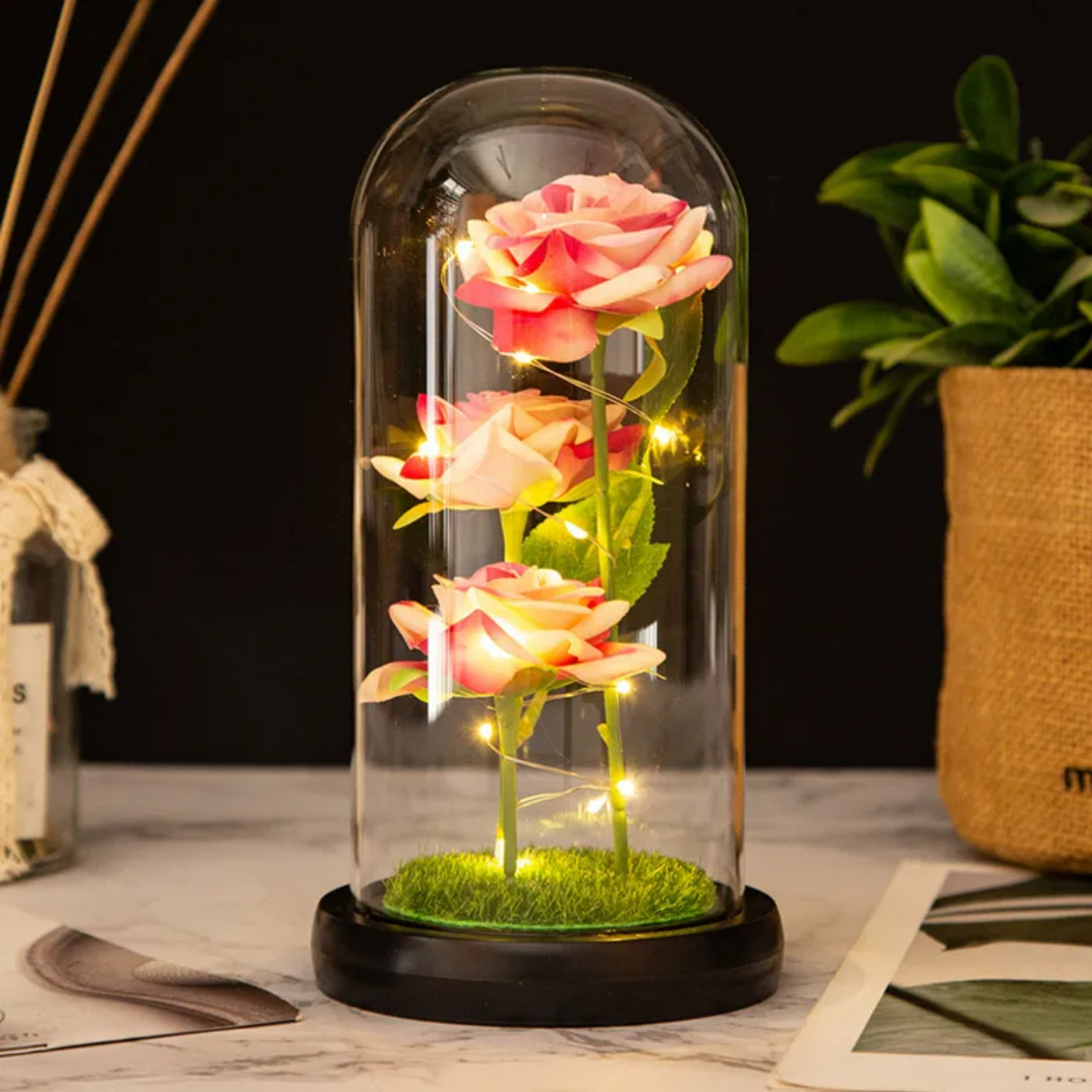 Rose Éternelle Lumineuse sous Cloche